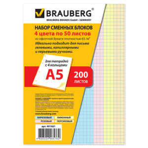     5 200 Brauberg  401661