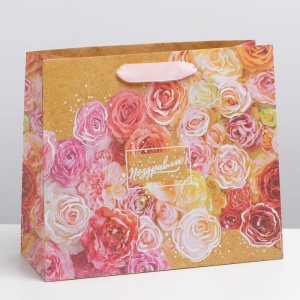 ����� 27*33*11,5�� ������ ������� ��������� ���������� ����� 3680923