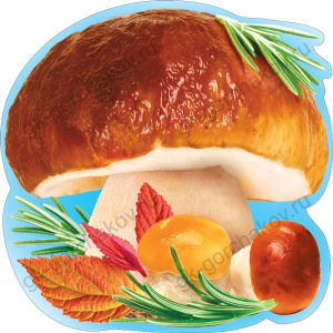 ���� ����������� �6/�� ������ ��-17022