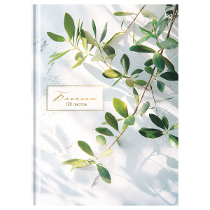 ������� �4 �� ��� 120� �� BG ����� ��� ������� ��� ������ ��4�120_��_�� 64777