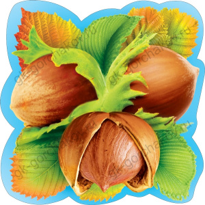 ����� 150�150��/�� ������ ����� 079.279