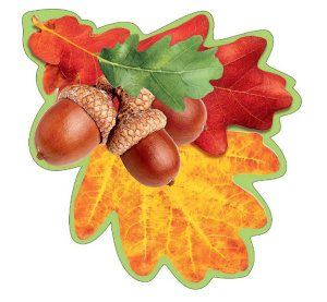 ���� ������� 146�146��/�������� 3001476