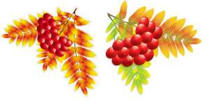 ������ �6/�� ������ ��-16745*17358