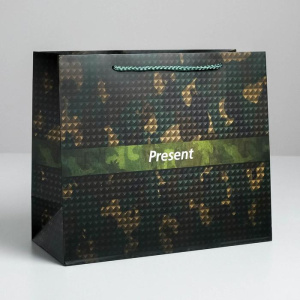 ����� 27*23*11,5�� ������ ������� Present  ��� 5187556