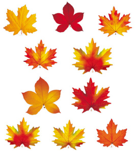 ���� ������� �6/�� ������ ��16736*37*38*40*41*42*43*47*48*49*50*51*52*53*54*55*56*60*61