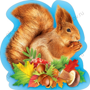 ������� 146�146��/�� ������ ����� 079.280